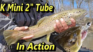 Erie PA Steelhead Fishing Using The Kumbo K Mini 2quot Tube Multiple Species [upl. by Eph]