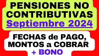 Pensiones No Contributivas SEPTIEMBRE 2024 Las FECHAS de PAGO y los MONTOS a COBRAR  BONO de ANSES [upl. by Baldridge346]