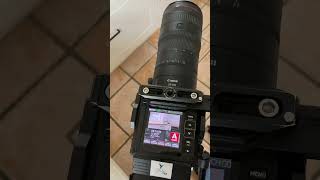 Does the new RF 24105 F28 work on RED cameras Is it really parfocal rf24105 [upl. by Isied]