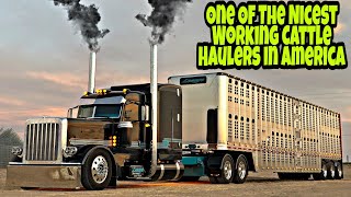 How To Be A Cattle Hauler Lesage Trucking Gives Us A Inside Tour Of His Custom Cattle Trailer [upl. by Adyht]