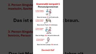 Die Personalpronomen quoterquot und quotsiequot [upl. by Eeralih383]