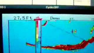 INTERPHASE FORWARD LOOKING SONAR WITH RAYMARINE E120 [upl. by Bobbee]