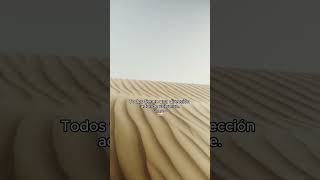 Corán en Español Sura 2 Al Baqara La vaca البقرة Ayah 146\148 coránenespañol albaqara lavaca [upl. by Olympe]