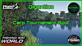 Gigantica Road Lake  Carp Tournament Spot  Fishing Sim World 🎣 [upl. by Arnaldo347]