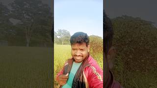 Tu Mora Life Re Asila PareShort VideoSuper Hit Odia Song [upl. by Lunseth]