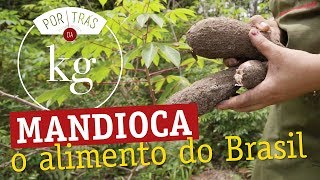 Mandioca o alimento do Brasil [upl. by Nibor362]