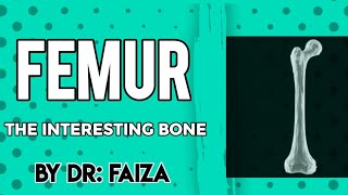 femur bone anatomy 3D attachments of femur bone Anatomywithdrfaiza [upl. by Akirderf]