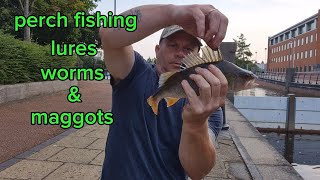 perch fishing lures worms amp maggots [upl. by Laurella404]