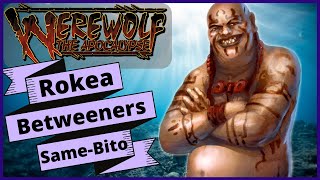 Rokea Lore The SameBito And Betweeners [upl. by Lissie420]