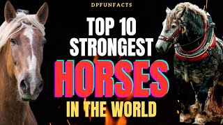 TOP 10 STRONGEST HORSES BREED IN THE WORLD  DPFunFacts [upl. by Lionel629]