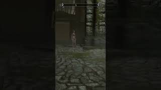 A Failed Ambush  Skyrim Anniversary funnyclips skyrimmods [upl. by Anigger]