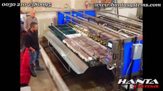 Hanta Systems Rug and Carpet washing machine in San Francisco USA [upl. by Oht]