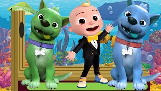 Baby Shark 36 Doo Doo Learns Colors  CoComelon Rainbow Nursery Rhymes amp Kids Songs 36 [upl. by Lilybelle723]