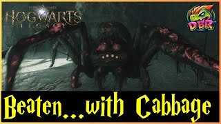 I Beat a Huge Cave Spider in Hogwarts Legacywith Vegetables E24 [upl. by Nivk]