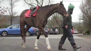 Willie Mullins on Vautour Faugheen and Douvan [upl. by Leela]