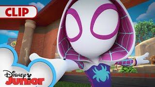 A Lemur Shrinks the Zoo Animals 🦓🦁🐒  Marvels Spidey and his Amazing Friends  disneyjr [upl. by Kcirdahs566]