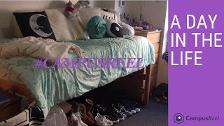 Northeastern University Dorm Room Tour [upl. by Akli634]