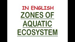 Aquatic Ecosystem Zones  PhoticAphotic Limnetic Pelagic Intertidal Neritic In Eng [upl. by Carie]