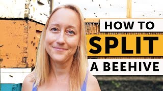 HOW TO SPLIT a Beehive StepByStep  Beekeeping 101 [upl. by Ydnik]