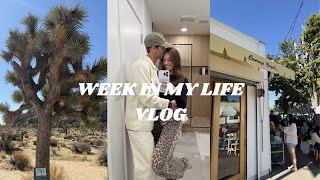 week in my life vlog  traveling to Joshua Tree [upl. by Berns]