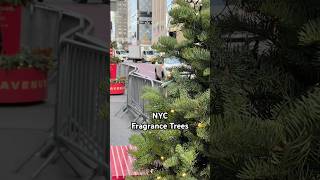 TREES IN NYC SPRAYING PERFUME [upl. by Enenej]