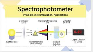 spectrophotometer working principle [upl. by Bajaj]