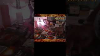 GEMINI VS ALLSIGNS tarot fypyoutube tarotcommunity tarotreading air halloween like 100ksub [upl. by Nomelif]