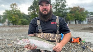 Steelhead Fishing Erie PA 2024 [upl. by Ignace]