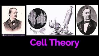 CELL THEORY CELL BIOLOGY  SCHWANN Robert HookeAnton van Leeuwenhoek [upl. by Etteroma]