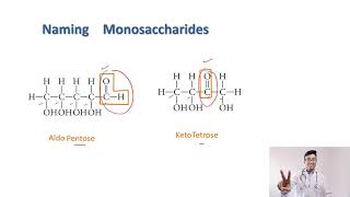 ABC of Carbohydrate Nomenclature Basics for beginners [upl. by Hak654]