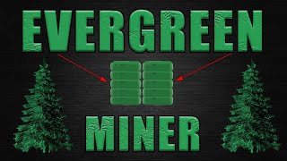 The EVERGREEN CHIA Miner  More Profitable Than GPUs [upl. by Adnik]