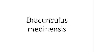 Dracunculus medinensis  Parasitology [upl. by Anire]