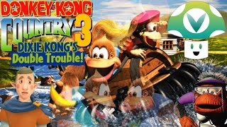 Vinesauce Vinny  Donkey Kong Country 3 Fan Highlights [upl. by Dare537]