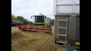 moisson dorge 2014 en mayenne [upl. by Saraann]