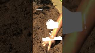 Preparing Raised Beds for the Next Gardening Season Soil amp Compost Tips [upl. by Niran]