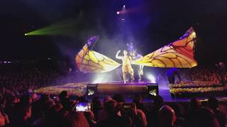 Cirque Du Soleil LUZIA VIP Experience Los Angeles [upl. by Heyer]