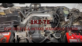 1KZTE EGR DELETE  TOYOTA PRADO HILUX SURF 4RUNNER HIACE [upl. by Farland]