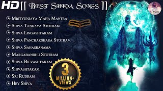 Top 10 SHIV MANTRAS  MAHAMRITYUNJAY MANTRA SHIVA LINGASHTAKAM SHIVA TANDAVA STOTRAM SRI RUDRAM [upl. by Bailey]