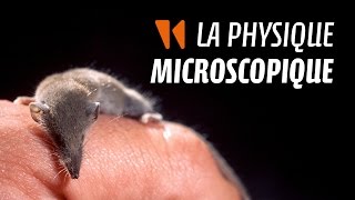 Aventures microfluidiques 1  La physique microscopique [upl. by Anaehr]