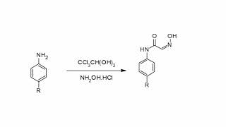 ISATIN synthesis and reactions organic chemistry group MAA2 [upl. by Iralam]