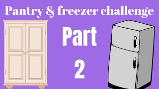 Freezer pantry challenge Part 2 [upl. by Ayitahs]