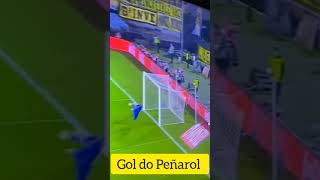 Gol do Peñarol no botafogo 1° tempo libertadores futebol [upl. by Michel858]