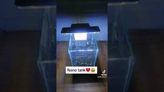 Nano tank ❤️😄 shorts amazing beautiful trending inspiration viral fyp highlights aquarium [upl. by Marilyn48]