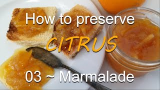 PRESERVING citrus  MARMALADE  03 [upl. by Darlene]