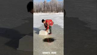 Fishing in the ice zone 🐟 shorts shortsmine shortsvideo [upl. by Odraboel]