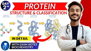 protein biochemistry  structure of protein biochemistry  classification of protein [upl. by Zoi361]