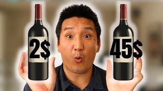 CHEAP vs EXPENSIVE MERLOT Red Wine  Whats the Difference [upl. by Ellenrahc]