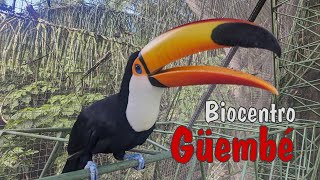 Biocentro Güembé Bolivia [upl. by Ylehsa]