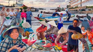 Nơi Tận Cùng Tổ Quốc Việt Nam║Đặc Sản Cá Thòi LòiCua Và Cá Khoai Khô Đất Mũi Cà Mau [upl. by Seditsira]