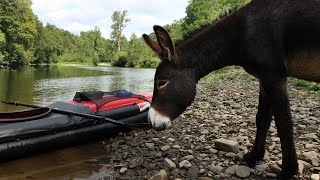 Flusswandern auf dem Allier Langeac  Loiremündung [upl. by Tarkany]